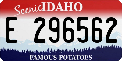 ID license plate E296562