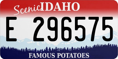 ID license plate E296575
