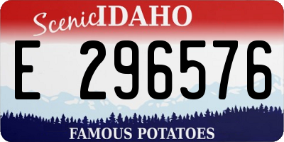 ID license plate E296576