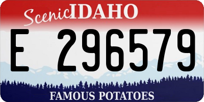 ID license plate E296579