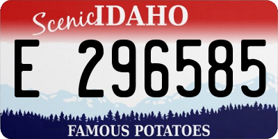 ID license plate E296585