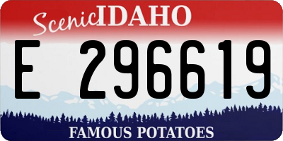 ID license plate E296619