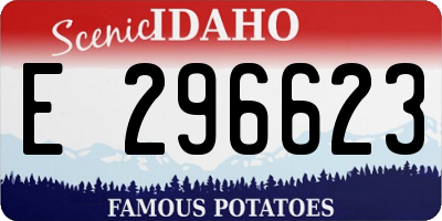 ID license plate E296623