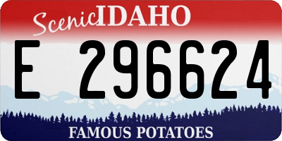 ID license plate E296624