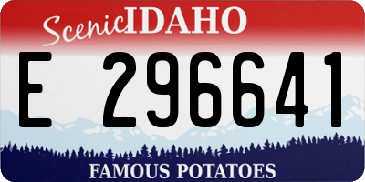 ID license plate E296641