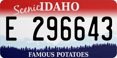 ID license plate E296643