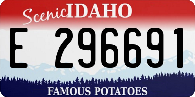 ID license plate E296691