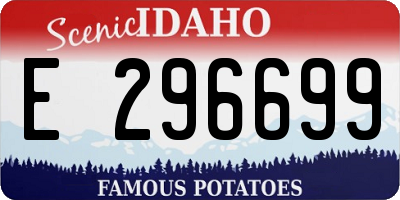 ID license plate E296699