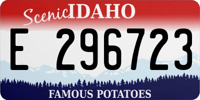 ID license plate E296723