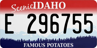ID license plate E296755