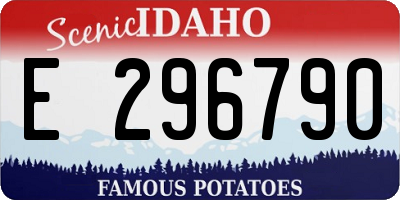 ID license plate E296790