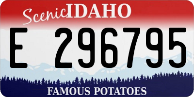 ID license plate E296795
