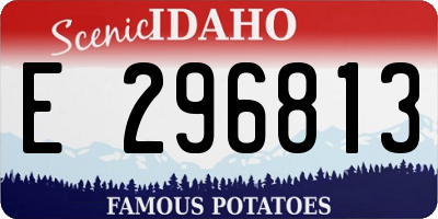 ID license plate E296813