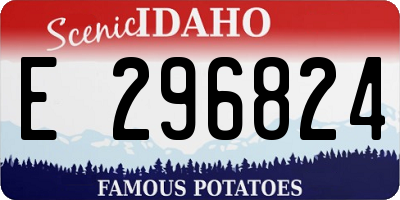 ID license plate E296824