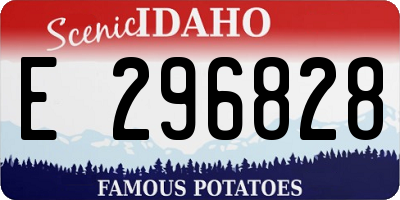 ID license plate E296828