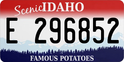 ID license plate E296852