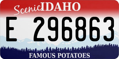 ID license plate E296863