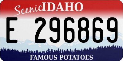 ID license plate E296869