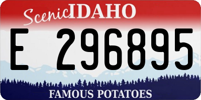 ID license plate E296895