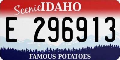ID license plate E296913