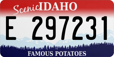 ID license plate E297231