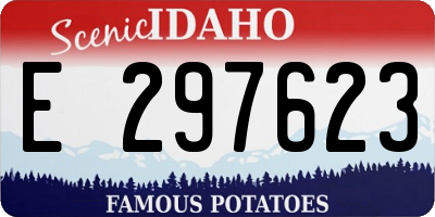 ID license plate E297623