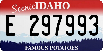 ID license plate E297993