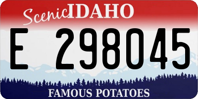 ID license plate E298045