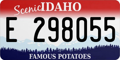 ID license plate E298055