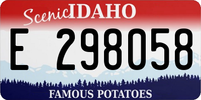 ID license plate E298058