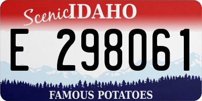 ID license plate E298061