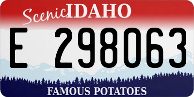 ID license plate E298063