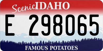 ID license plate E298065
