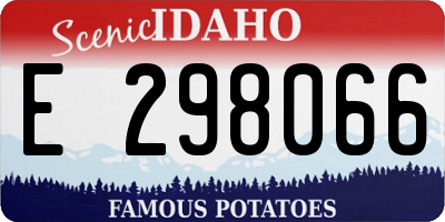ID license plate E298066