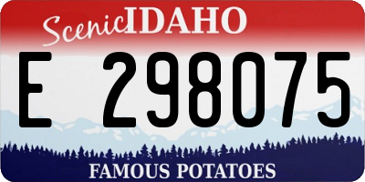 ID license plate E298075