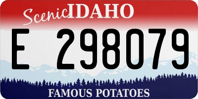 ID license plate E298079