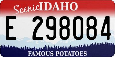 ID license plate E298084