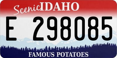 ID license plate E298085