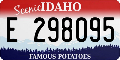 ID license plate E298095