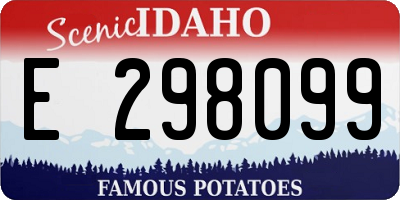 ID license plate E298099