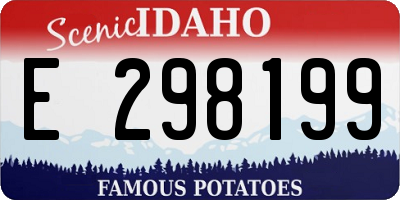 ID license plate E298199
