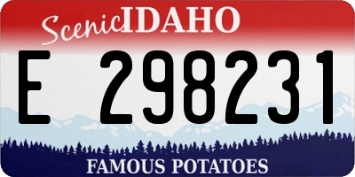 ID license plate E298231