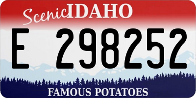 ID license plate E298252