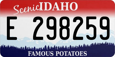 ID license plate E298259