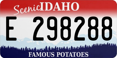 ID license plate E298288