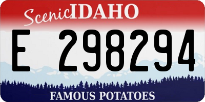 ID license plate E298294
