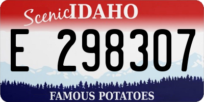 ID license plate E298307