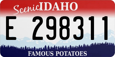 ID license plate E298311