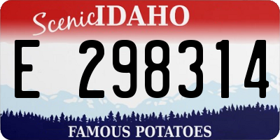 ID license plate E298314