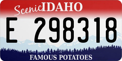 ID license plate E298318